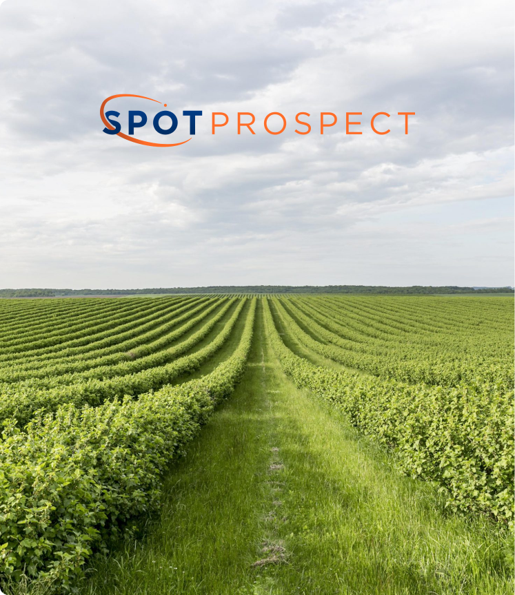 Fundo de natureza verde com a logo SpotPROSPECT.